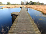 Steenhaarplassen